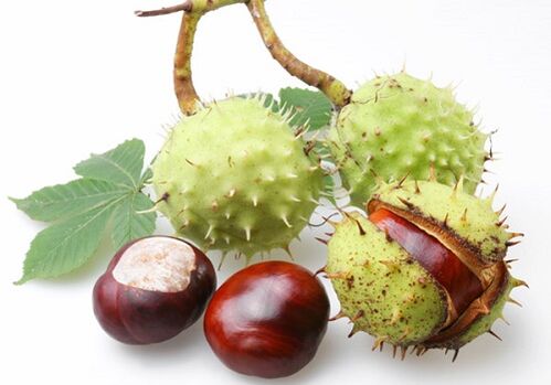 Chestnut fruits are rich in numerous valuable vitamins and microelements that are useful for the prostate.